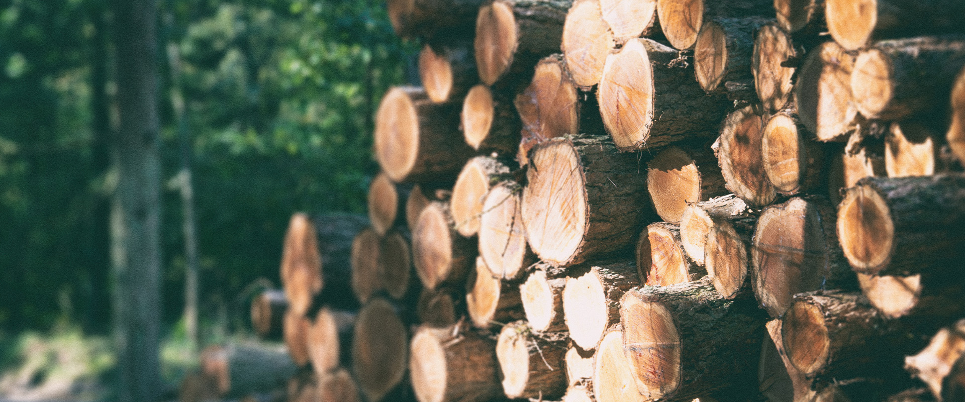 Veilig en Duurzaam hout in de wandspellen en kinderhoeken van ISC