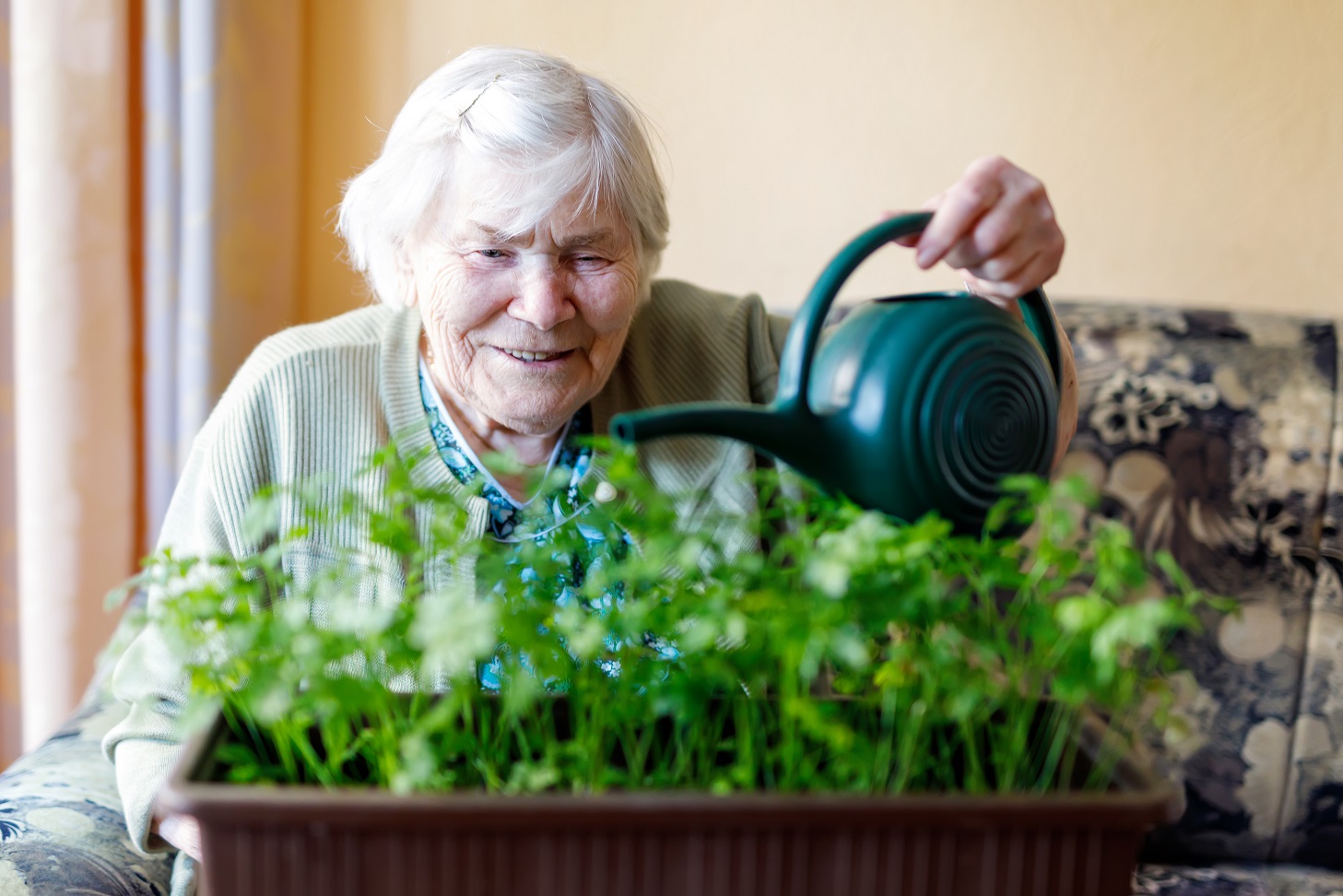 Planten hebben een positief effect op ouderen in het rusthuis